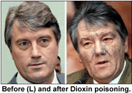 dioxin