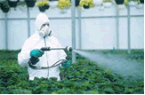 Fungicides